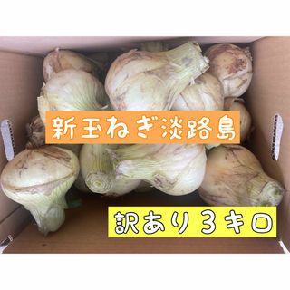 新玉ねぎ淡路島　訳あり３キロ(野菜)