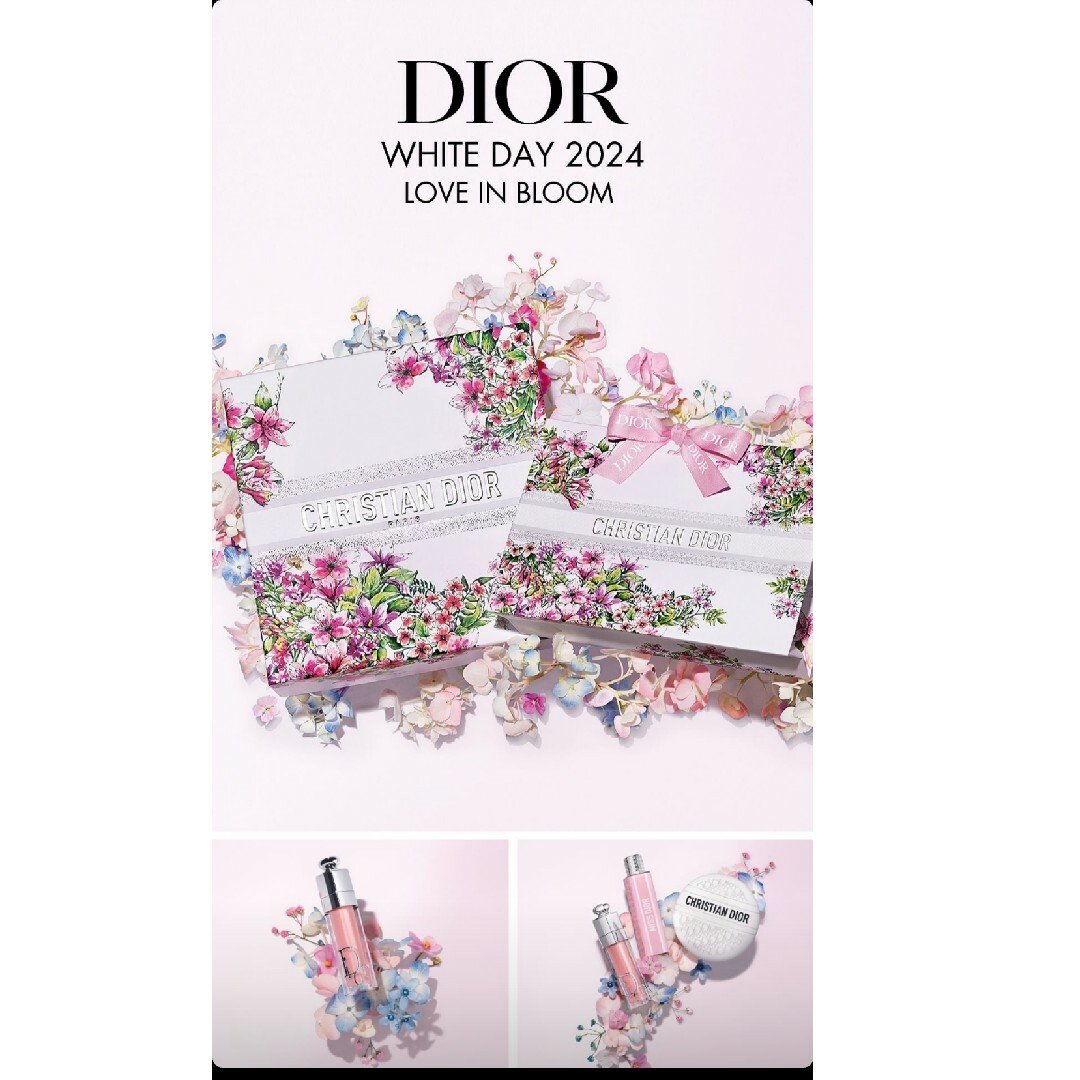 Christian Dior(クリスチャンディオール)のDior　【新品】ラッピング　ショッパー レディースのバッグ(ショップ袋)の商品写真