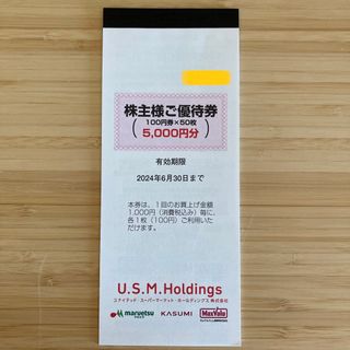 ヴィレッジヴァンガード 株主優待 24000円分 最新 おまけ付き ...