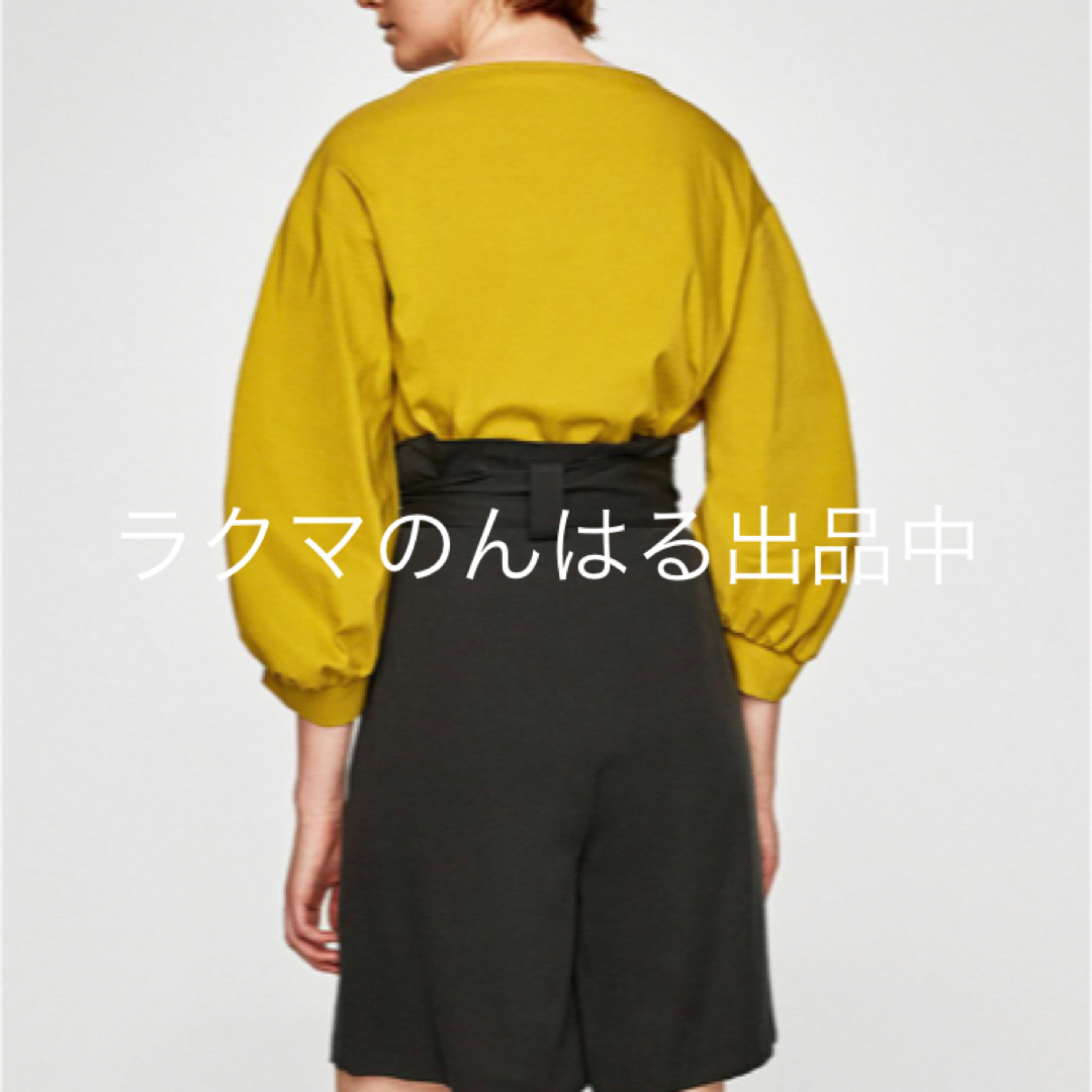 ZARA(ザラ)のZARA ザラ ブラウス ボリューム スリーブ 完売人気 試着のみ 袖 XS レディースのトップス(シャツ/ブラウス(長袖/七分))の商品写真