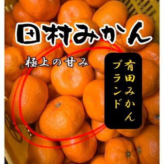 みかん　田村のみかん　約1キロ  規格外　綺麗目(フルーツ)