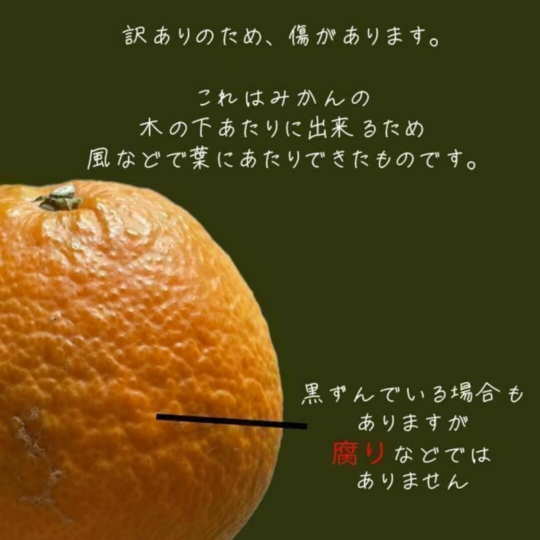 清見みかん 訳あり 3kg 和歌山県産 清見オレンジ 旬の果物 食品/飲料/酒の食品(フルーツ)の商品写真