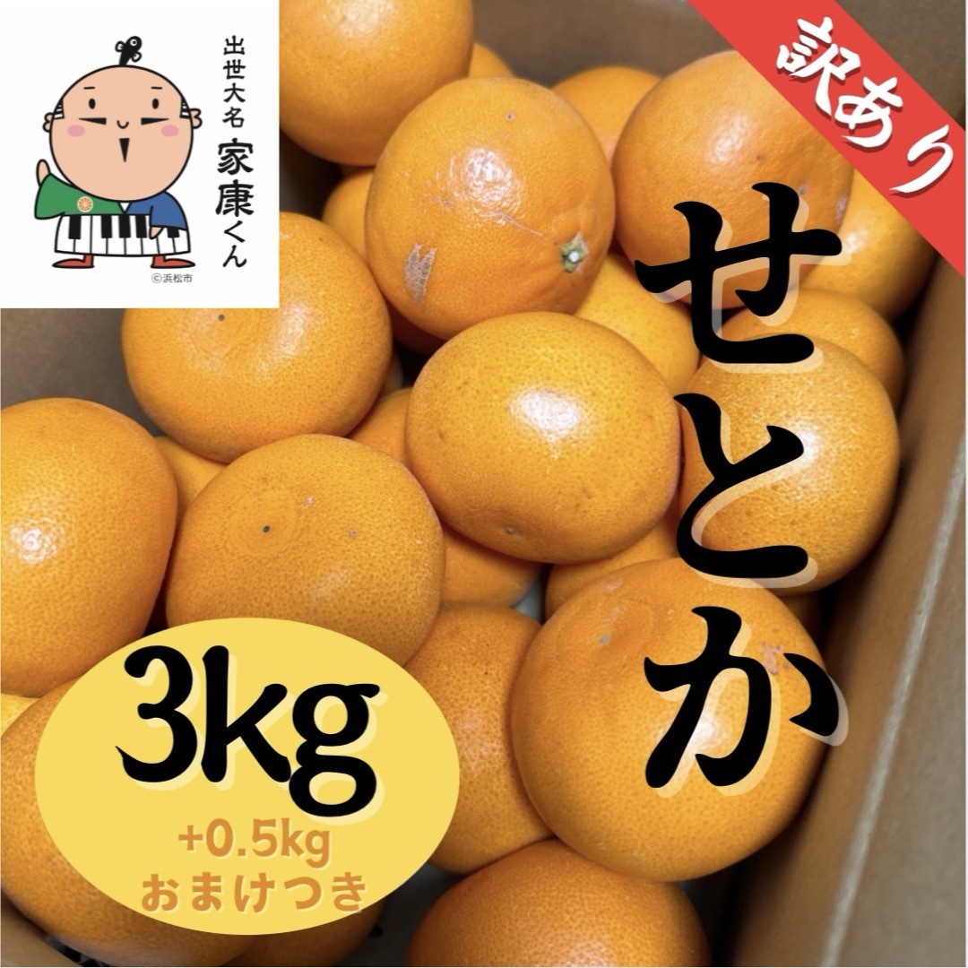 静岡県浜松産『せとか』3キロ  訳あり　小玉 食品/飲料/酒の食品(フルーツ)の商品写真