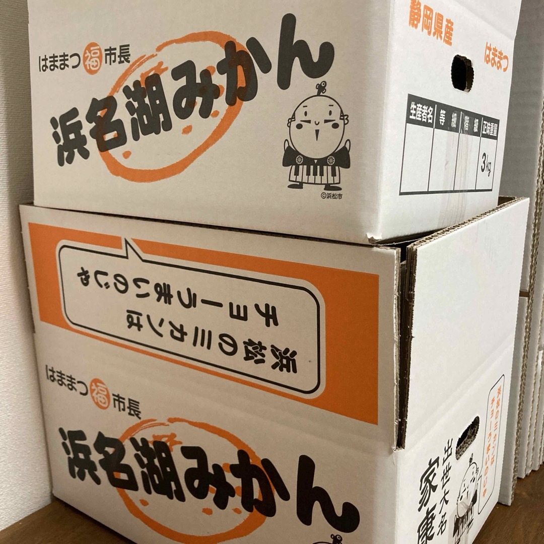 静岡県浜松産『せとか』3キロ  訳あり　小玉 食品/飲料/酒の食品(フルーツ)の商品写真