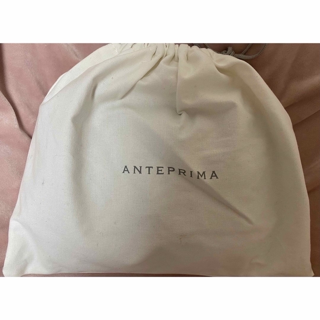 ANTEPRIMA(アンテプリマ)のANTEPRIMA ワイヤーバッグ レディースのバッグ(ショルダーバッグ)の商品写真