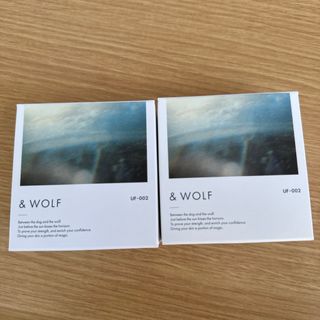 エヌオーガニック(N organic)の& WOLF by Nオーガニック UVセラムリキッドファンデーション  002(ファンデーション)