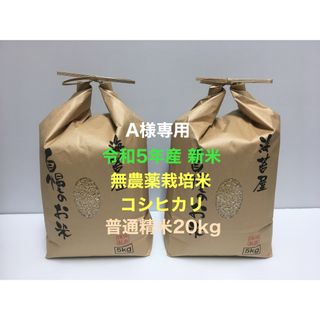 A様専用 無農薬コシヒカリ普通精米20kg(5kg×4)令和5年産(米/穀物)