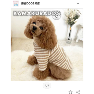 KAMAKURA DOG - 新品　鎌倉ドッグ　モカスフレボーダー