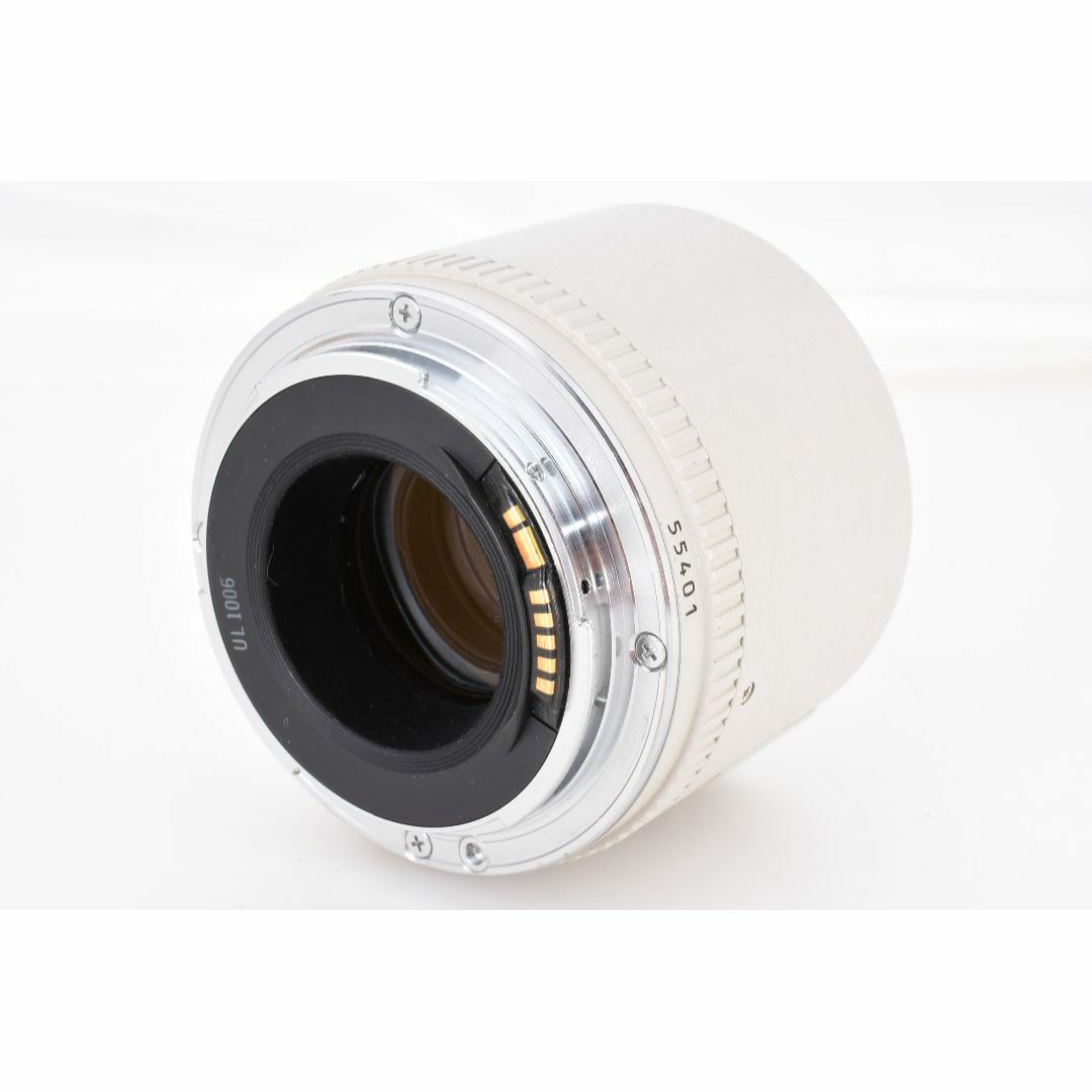 ❄焦点距離の延長】Canon キヤノン EXTENDER EF 2x テレコン ❄焦点距離の延長】Canon キヤノン EXTENDER EF 2x テレコン