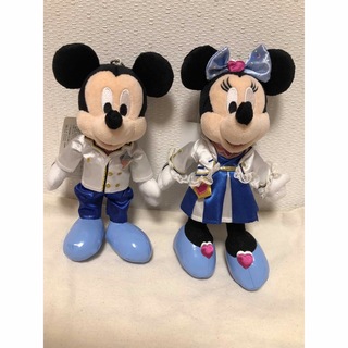 Disney - 東京ディズニーランド ホーンテッドマンション ケープの通販