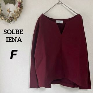 スローブイエナ(SLOBE IENA)のnnnさま　　　　SOLBE IENA カットソー　コットン　綿　トップス(カットソー(長袖/七分))