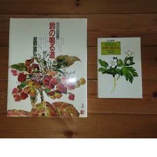 星野富弘作　鈴の鳴る道　「四季　野の花」(文学/小説)