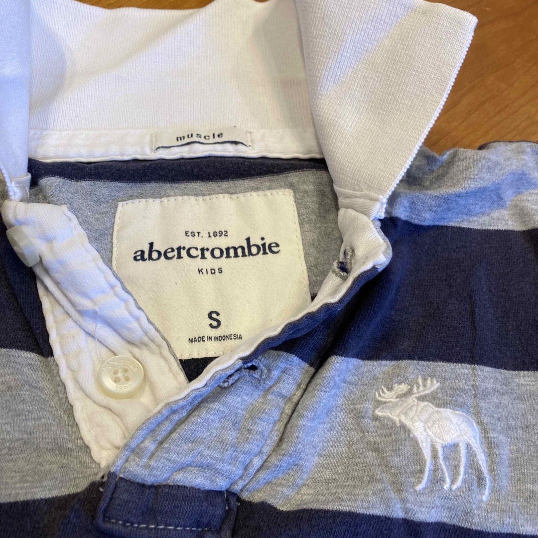 Abercrombie&Fitch(アバクロンビーアンドフィッチ)のAbercrombie 襟付きTシャツS（130くらい） キッズ/ベビー/マタニティのキッズ服男の子用(90cm~)(Tシャツ/カットソー)の商品写真