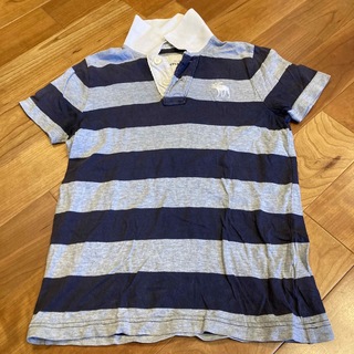 アバクロンビーアンドフィッチ(Abercrombie&Fitch)のAbercrombie 襟付きTシャツS（130くらい）(Tシャツ/カットソー)