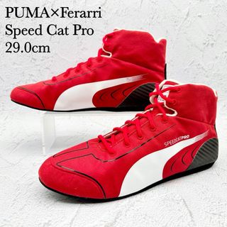 フェラーリ(Ferrari)の【希少サイズ】PUMA スピードキャット レッド フェラーリ サーキット 鑑賞用(その他)