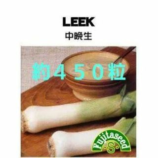 ＜野菜の種＞約４５０粒　リーキ（リーク）ポロネギ　2ｍｌ 西洋ねぎ(プランター)