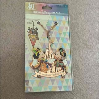 ディズニー(Disney)の非売品　バケーションパッケージ特典チャーム(バッグチャーム)