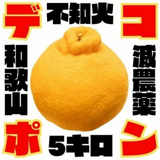 デコポン(不知火) 訳あり 5kg 和歌山 甘くておいしい 食べ応え 旬 みかん(フルーツ)