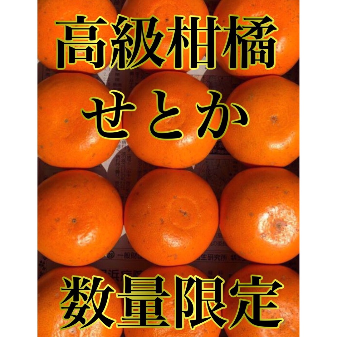 愛媛県産 みかん 高級柑橘 せとか コンパクトBOX発送 柑橘 ミカン 果物 食品/飲料/酒の食品(フルーツ)の商品写真