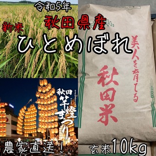 みんく様専用 令和5年 秋田県産【ひとめぼれ】玄米10kg(米/穀物)