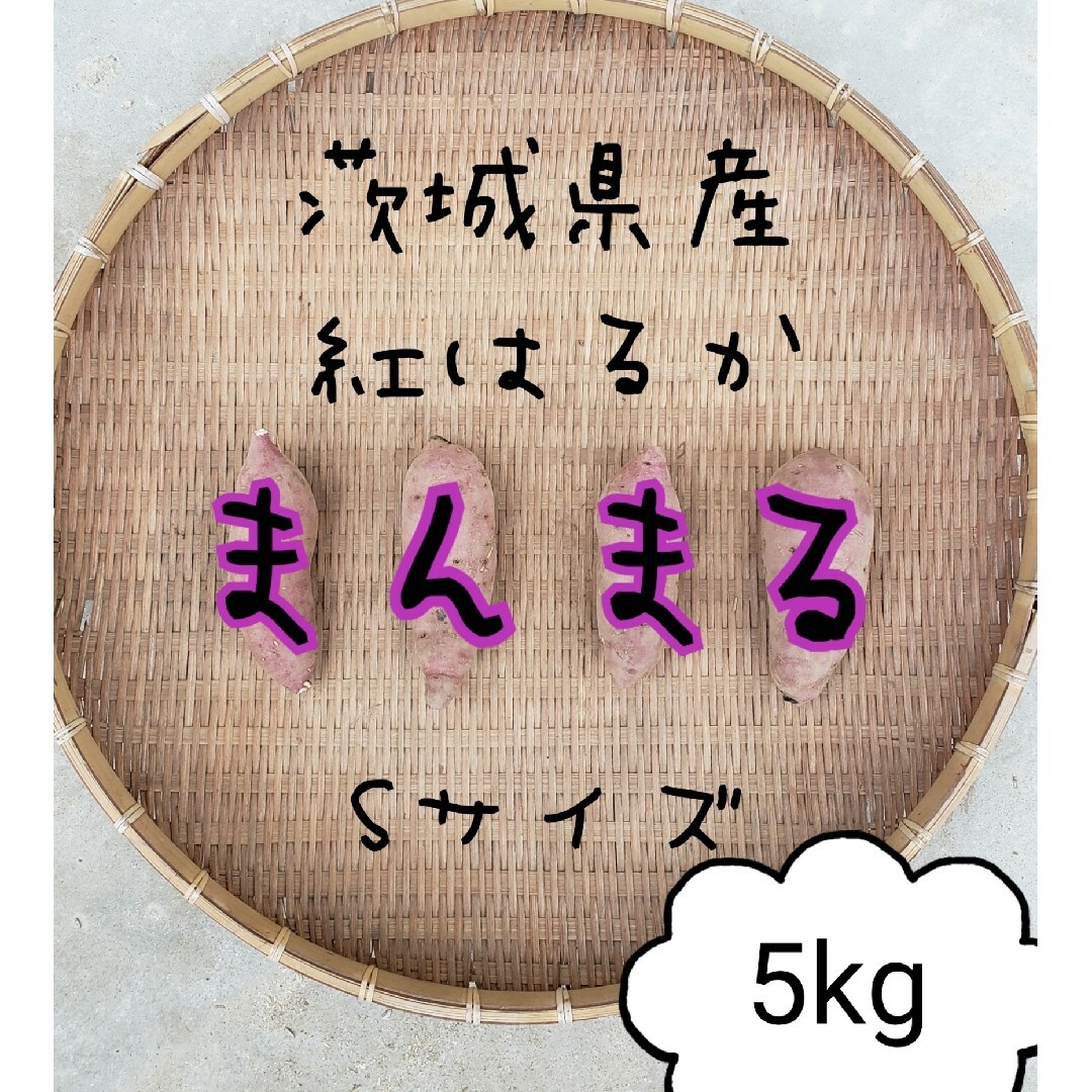 正規品　まんまる小さめSサイズ　紅はるか　5キロ　茨城県産　さつま芋 食品/飲料/酒の食品(野菜)の商品写真