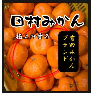 みかん　田村のみかん　約1キロ  規格外　綺麗目(フルーツ)