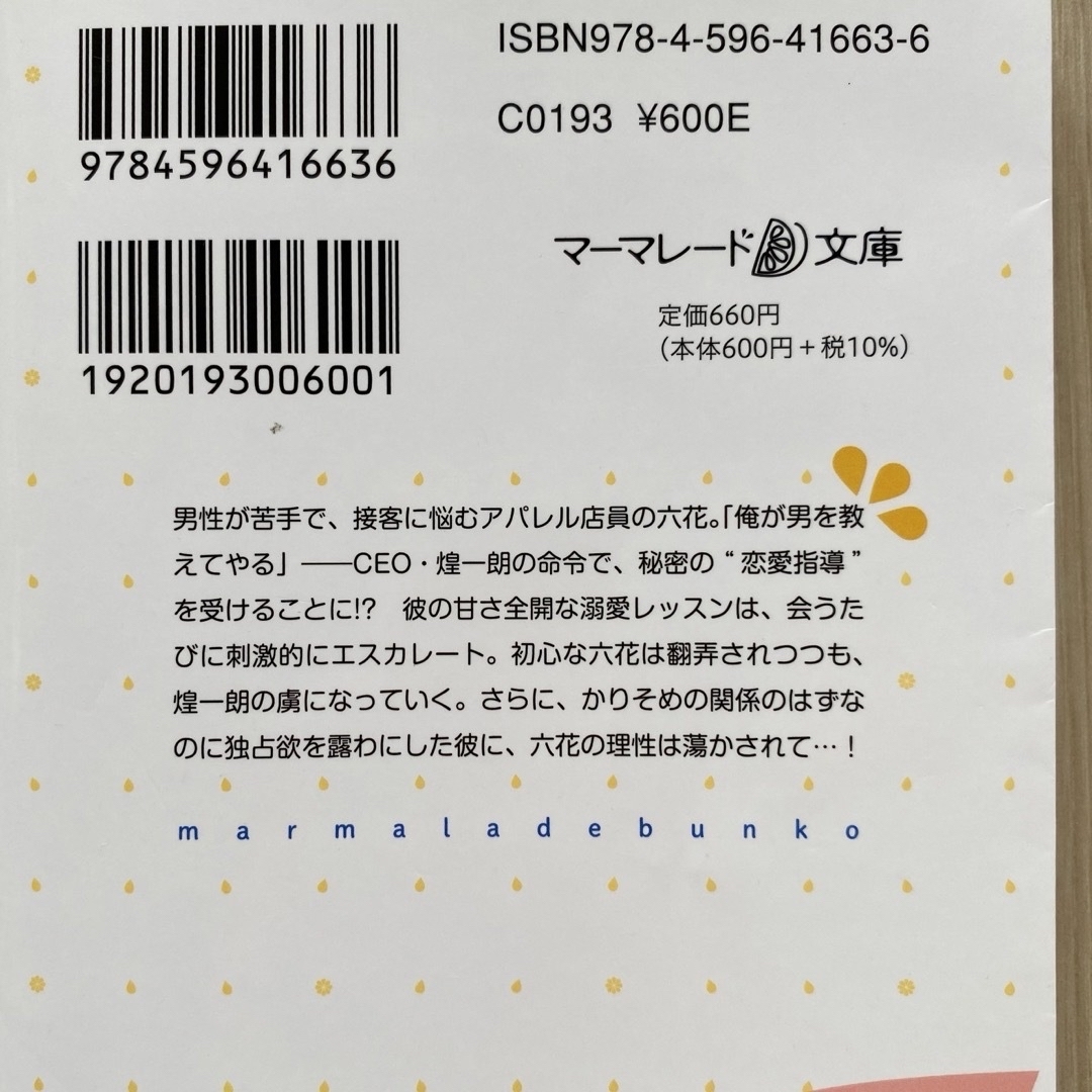 【ちゃん様専用】マーマレード文庫　４-Ａ　他 エンタメ/ホビーの本(文学/小説)の商品写真