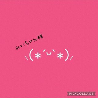 ☆みいちゃん様専用☆　オーダー2点(その他)