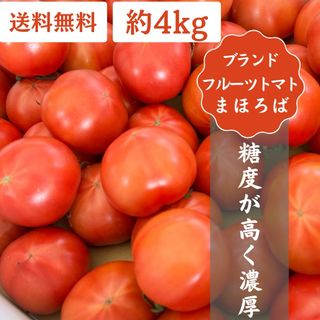 高知県産 土佐 まほろばトマト 約4kg フルーツトマト 特産(野菜)