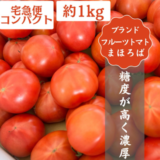 2高知県産 土佐 まほろばトマト 約1kg 宅急便コンパクト フルーツトマト(野菜)