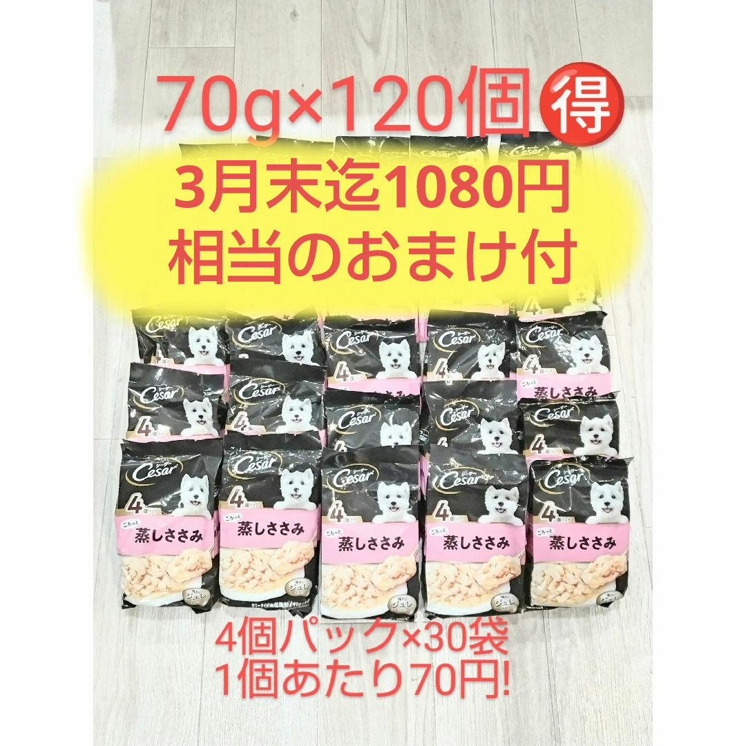 CASAR(シーザー)のペットフード　シーザーパウチ4個パック×30袋(120個) その他のペット用品(ペットフード)の商品写真