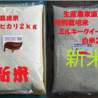 ★新米★[白米]特別栽培米コシヒカリとミルキークイーン２ｋｇづつセット減農薬栽培(米/穀物)