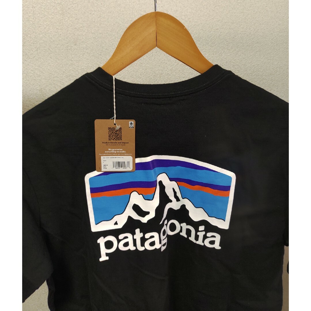 patagonia(パタゴニア)のパタゴニア　フィッツロイ　レスポンシビリ メンズのトップス(Tシャツ/カットソー(半袖/袖なし))の商品写真