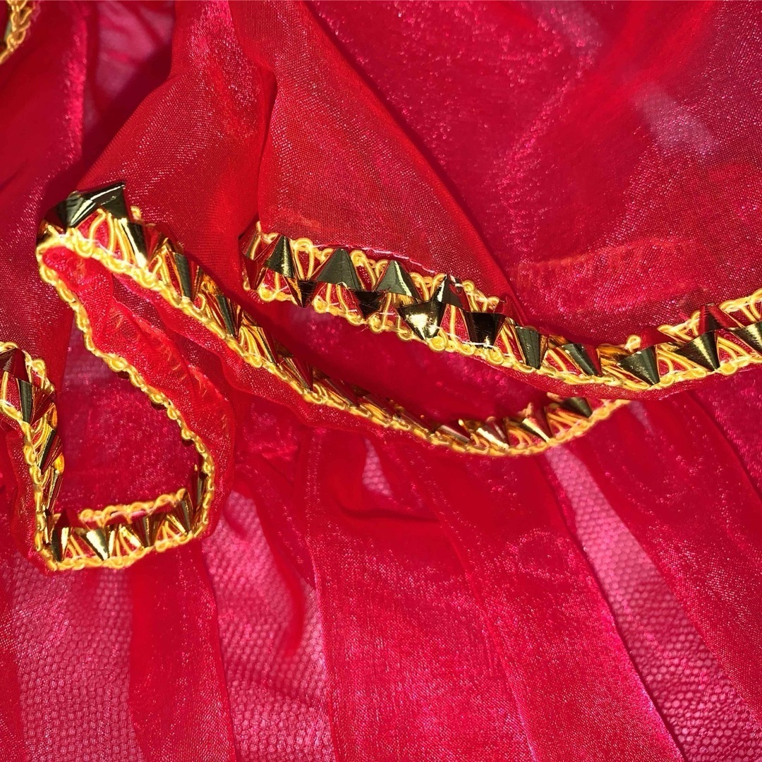 サンバカーニバル　衣装　シフォン　フリルスカート　パニエ　コスプレ　コスチューム エンタメ/ホビーのコスプレ(衣装)の商品写真