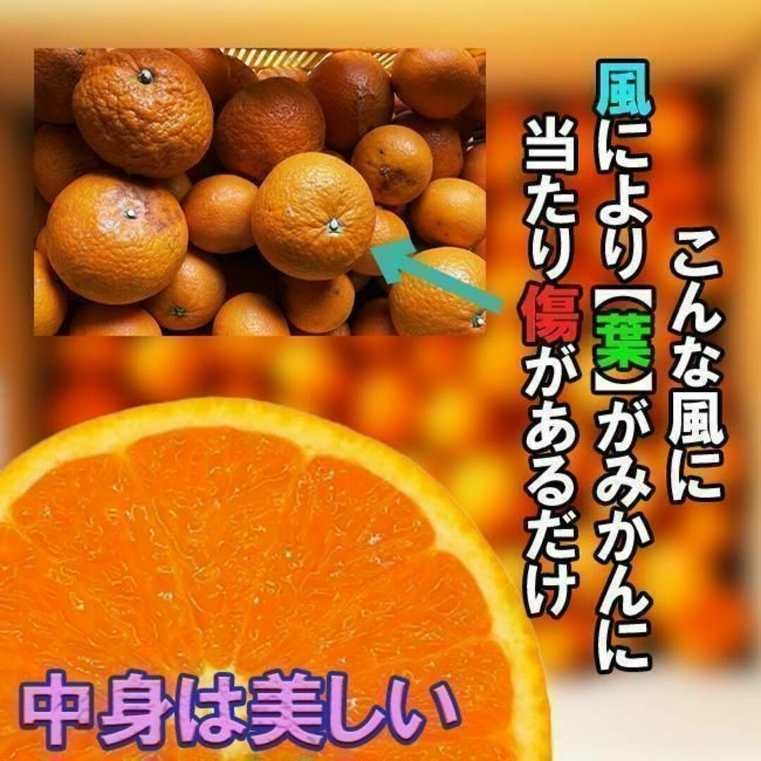 清見みかん 訳あり 3kg 和歌山県産 清見オレンジ 旬の果物 食品/飲料/酒の食品(フルーツ)の商品写真