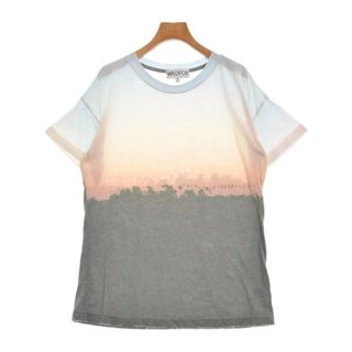 ワイルドフォックス(WILDFOX)のWILDFOX Tシャツ・カットソー S グレーx水色xベージュ等(総柄) 【古着】【中古】(カットソー(半袖/袖なし))