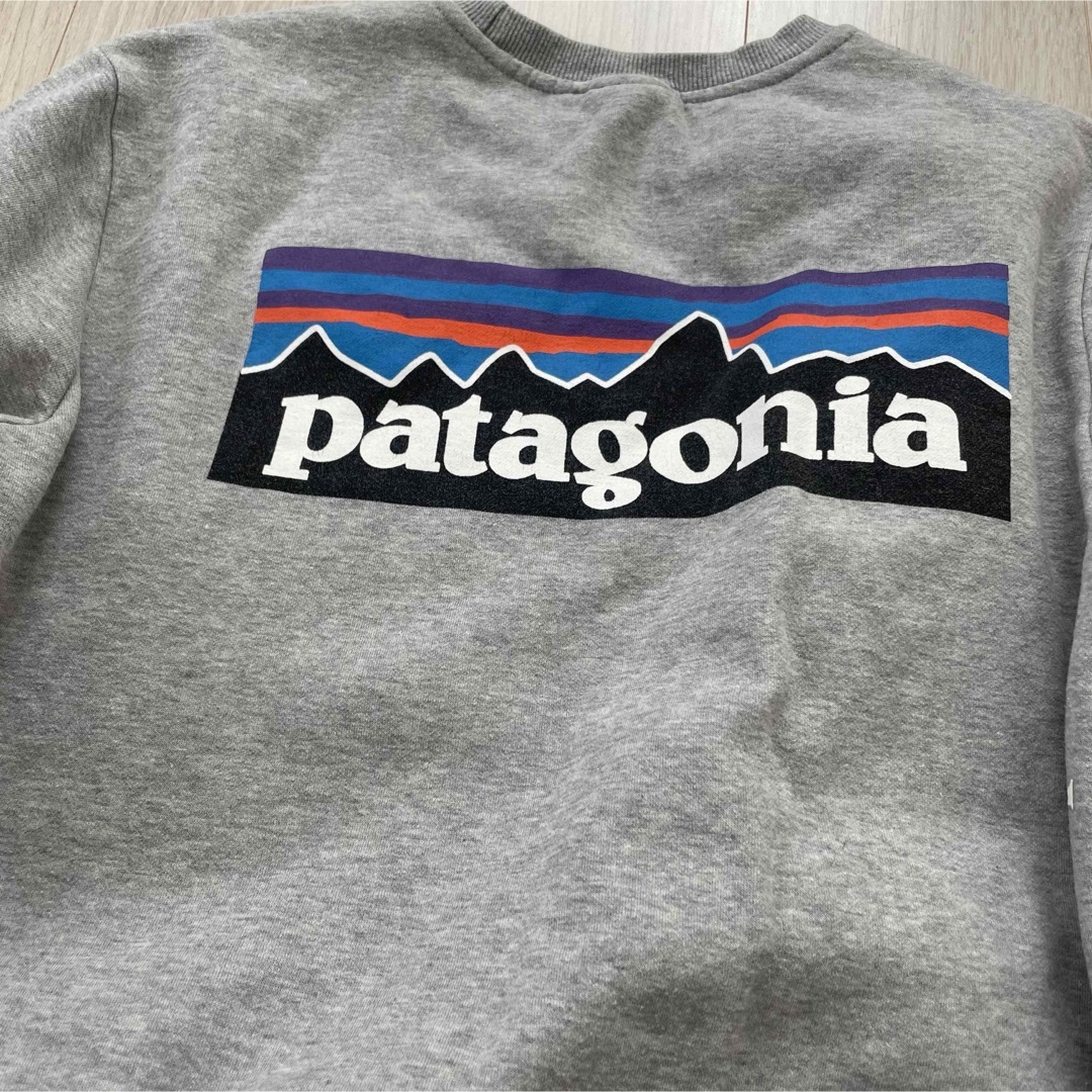 patagonia(パタゴニア)のパタゴニア　トレーナー レディースのトップス(トレーナー/スウェット)の商品写真