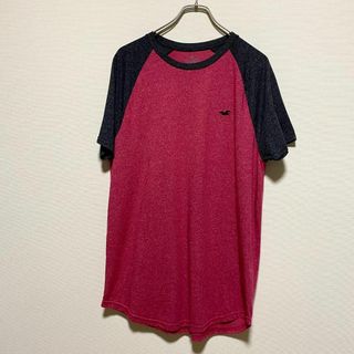 ホリスター(Hollister)のアメリカ古着　HOLLISTER ホリスター 半袖 Tシャツ　ラグラン　刺繍(Tシャツ/カットソー(半袖/袖なし))