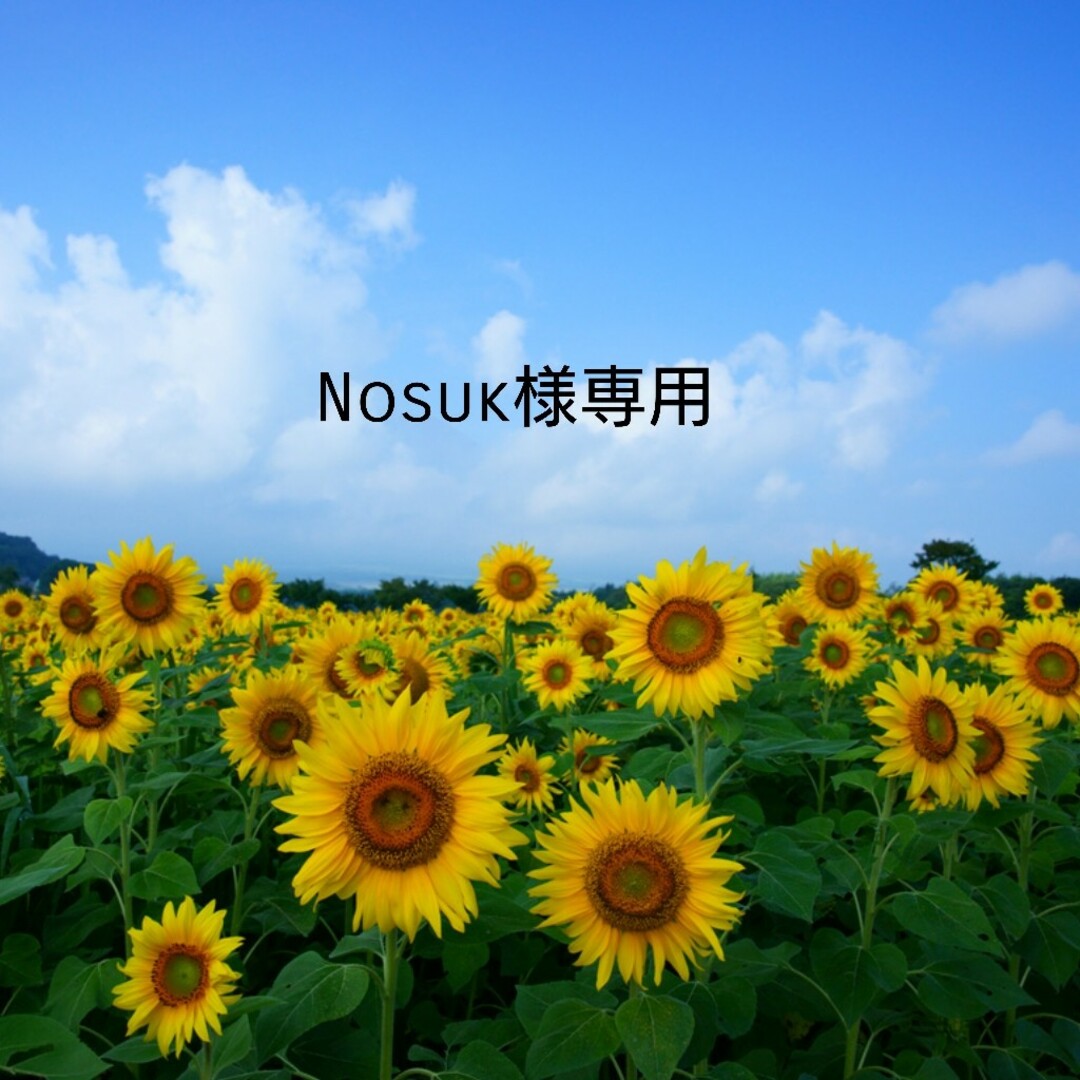 Nosuk様専用 ハンドメイドのハンドメイド その他(その他)の商品写真