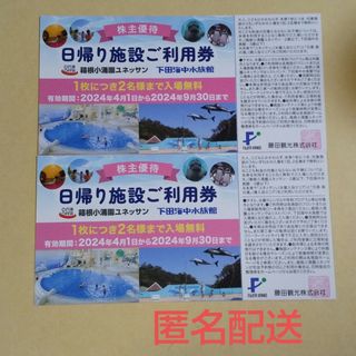 藤田観光 株主優待 日帰り施設ご利用券 2枚(その他)