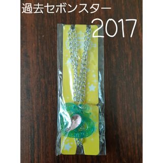 カバヤショクヒン(Kabaya)の【過去セボンスター】2017 No.1 ラメプラ③(その他)