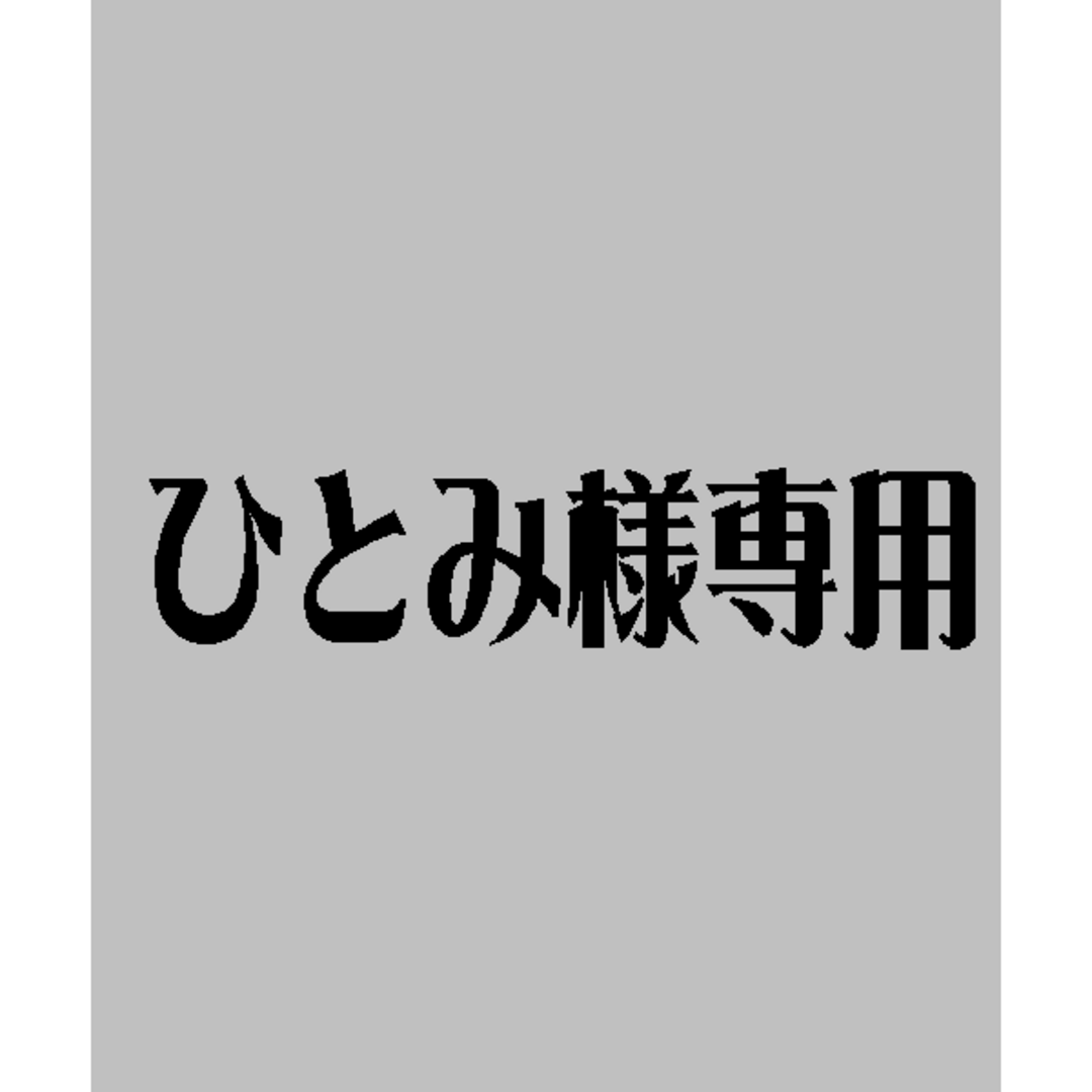 ひとみ様専用 ハンドメイドのキッズ/ベビー(ネームタグ)の商品写真