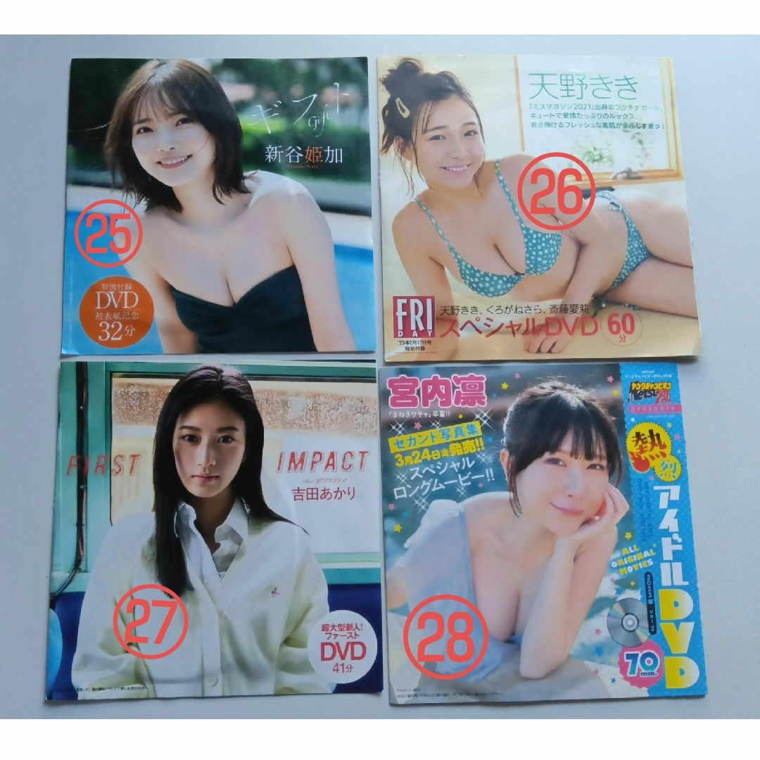 グラビアアイドル　DVD 28枚セット エンタメ/ホビーのDVD/ブルーレイ(アイドル)の商品写真