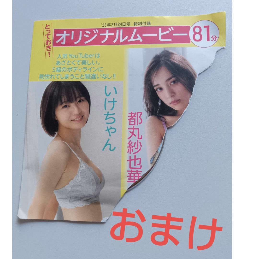 グラビアアイドル　DVD 28枚セット エンタメ/ホビーのDVD/ブルーレイ(アイドル)の商品写真