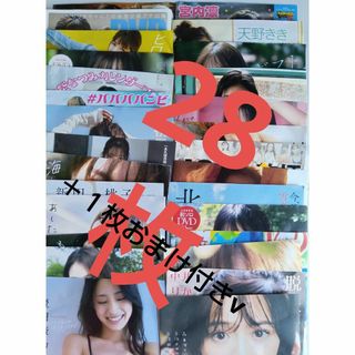 グラビアアイドル　DVD 28枚セット(アイドル)