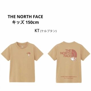 THE NORTH FACE - ノースフェイス【SHIRETOKO】ショートスリーブシレトコトコティー・Tシャツ