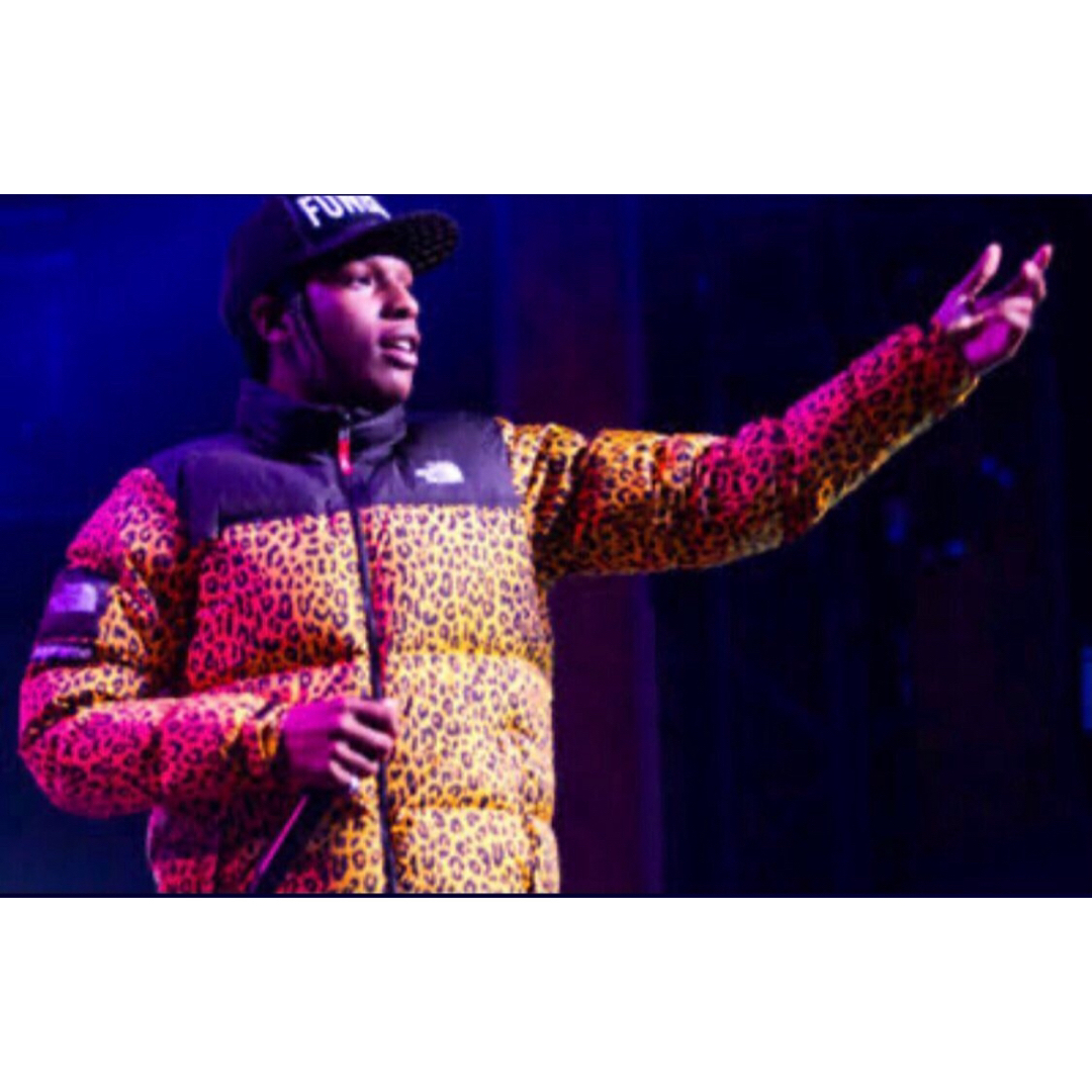 Supreme - supreme northface Leopard Nuptseレオパードヌプシの Supreme - supreme northface Leopard Nuptseレオパードヌプシの