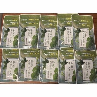 桑の葉&茶カテキンの恵み 120粒 ×10袋(ダイエット食品)