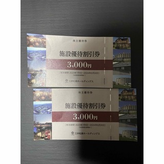 三井松島ホールディングス　施設優待券　二枚　6000円分(宿泊券)