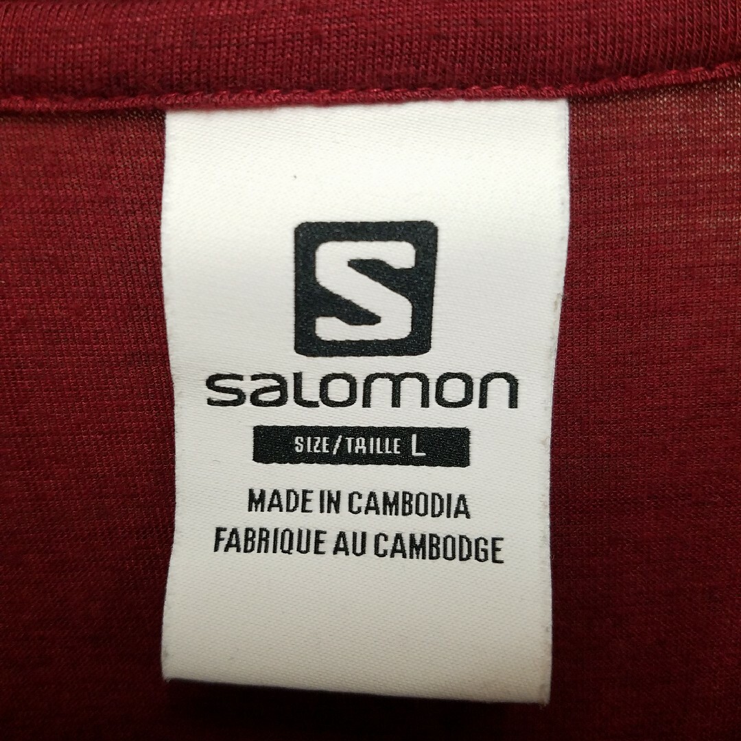 SALOMON(サロモン)のSALOMON Brand Ikon Printed LS Jersey Tee メンズのトップス(Tシャツ/カットソー(七分/長袖))の商品写真